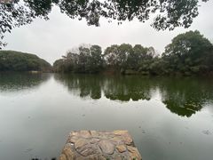 -张鸟园农家乐(张鸟园店)