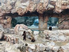 -珠海长隆海洋王国