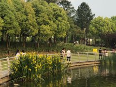 -美兰湖景区
