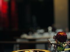 -禧宴Joyous Restaurant(禧园店)