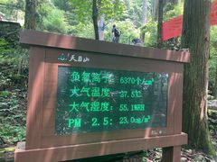 -天目山大树王景区