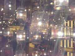 android_upload_pic-Vista黔城(新业广场店)