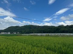-熹乐谷温泉度假区