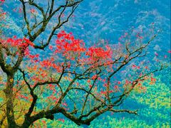 -塔川景区