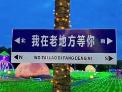 -海上田园