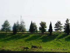 -径山寺