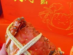 -阳澄湖大闸蟹·琼灵阁牌品牌连锁(吴中总店)