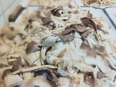 -红星兔丁(东风大桥店)