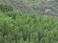 -雅鲁激流探险漂流