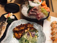 -一本钓鲔鱼屋