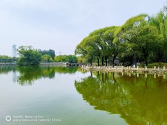 -仰山公园