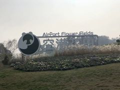 -空港花田景区