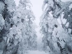 -瓦屋山景区