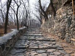 -阳台山自然风景区