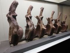 -世界恐龙谷景区