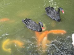-珠海圆明新园