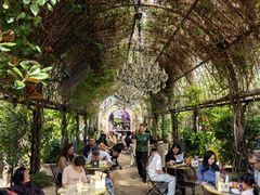 -The Grounds of Alexandria