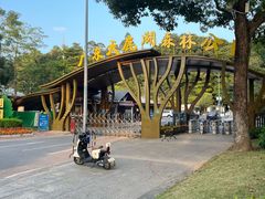 -天鹿湖森林公园