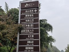 -铁山坪森林公园