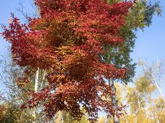 -长春市南湖公园