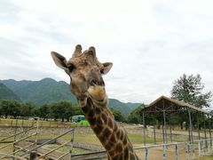 -西安秦岭野生动物园
