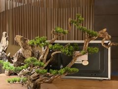 -东田之村自助餐厅(金水路店)