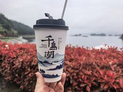 -千岛湖东南湖区