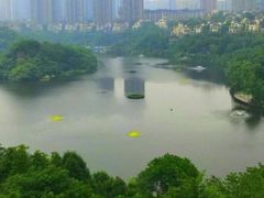 -重庆彩云湖湿地公园