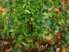 -春涛餐馆(下坝店)