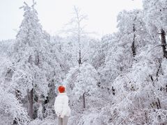 -四明山国家森林公园
