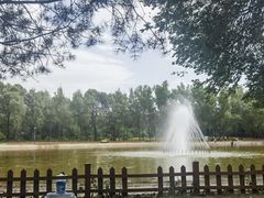 -森林公园(尖草坪区)