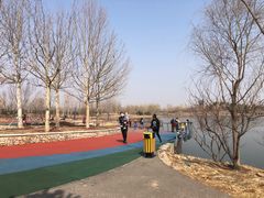 -东郊湿地公园