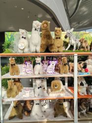 -IMON·HANSA潮玩玩偶毛绒玩具(通州万象汇店)