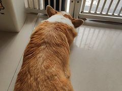 -平行世界·猫咖(首经贸店)