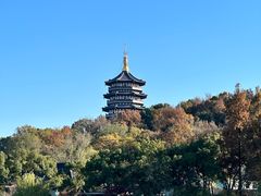 -西湖外事游船(花港观鱼码头)