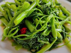 空心菜-曾氏肥肠馆(凯瑞雅居店)