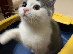 -瑞鹏瑞爱宠物医院·全科·猫科·血液透析中心(龙头寺店)