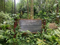 -南宁良凤江国家森林公园