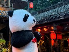 -小龙翻大江文化火锅(宽窄店)