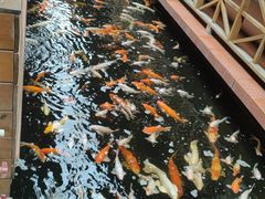 -侠成水上农庄(工业大道店)