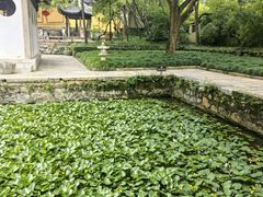 -无锡惠山寺