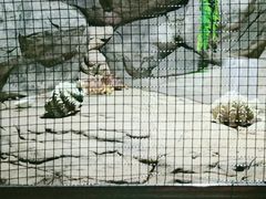 -苏州海洋馆