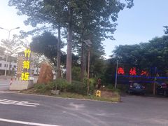 -海泉湾竹筒饭·瘦身水库大头鱼(从化温泉镇店)