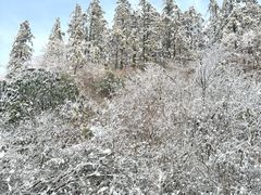 -大围山国家森林公园