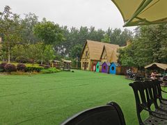 -合肥滨湖国家森林公园