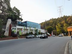 -南山植物园