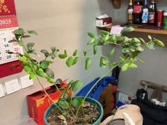 -高老庄·老溧阳·私房菜(南山竹海店)
