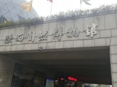 -陕西自然博物馆