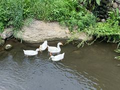 -北京水岸山吧度假村(雁栖镇店)