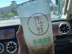 -德禄酸奶(莫家街店)